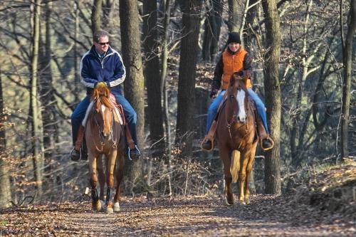 Wanderreiten