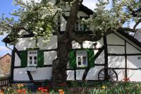 Rundweg Dörferblick-Schleife